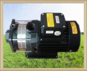 750w火花機(jī)抽油泵 惠州市惠城區(qū)固特機(jī)械設(shè)備廠