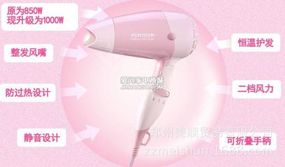 河南鄭州飛科FH6203電吹風(fēng) 代理價(jià)格、廠家聯(lián)系與產(chǎn)品詳情解析